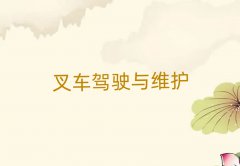 Ϛv^(q)SATӖ