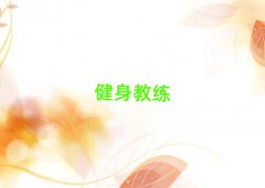 ɽW̾ŶX