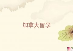 KKݴôW̿ƟTI(y)Щַ