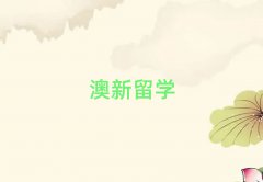 ʯfW(xu)ǂ(g)н