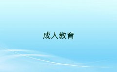gꖿ{SӖ