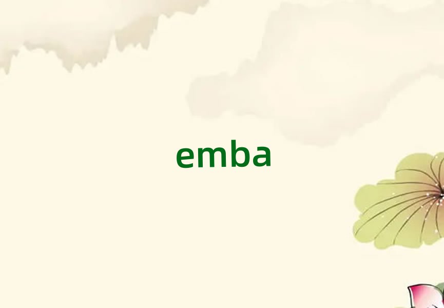 ƽ^һһEMBA