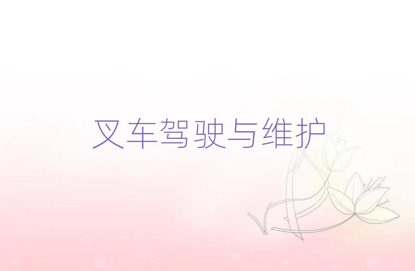 2019V݌WZ