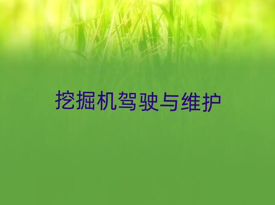 2019̰̌^(q)ھCӖ