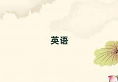 2025껴sata