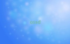 2025ܿڴR^WsatҪX