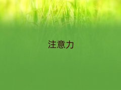 2025ꖌWעӖ