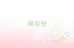 2025˲лWor