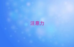 WكעӖҪ