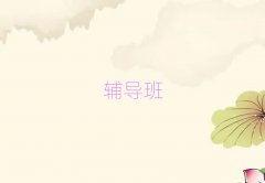 2025Ͼϼ^СWZao