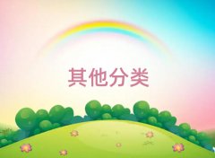 2025СW(xu)ӢZ11o(do)
