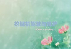 2025\(yn)}^(q)W(xu)C(j)˾C(j)C