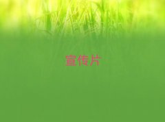 ϽhǰʮIVƬĔzX