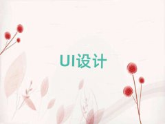 ݽWUIO(sh)ӋX