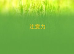 2024K݅Ѕ^(q)ʮͯעӖ(xn)C(gu)