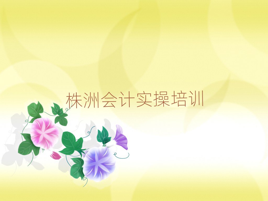 2025年株洲天元區會計實操培訓正規學校排名
