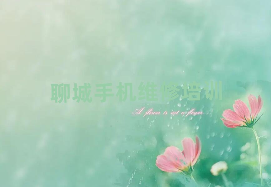 ĳǖ|^֙CS޾όW