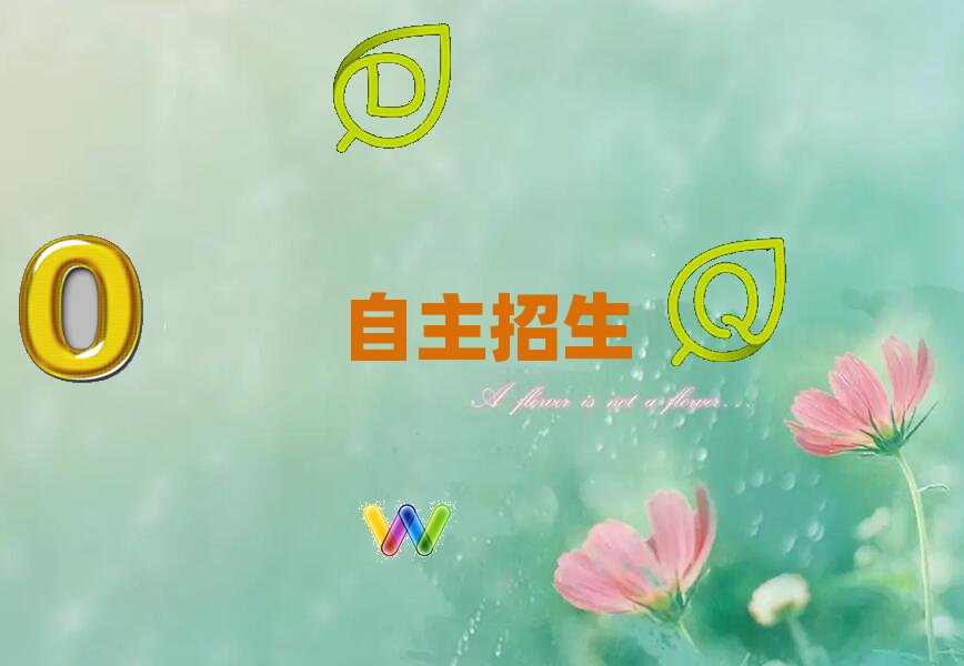 2019õWУ