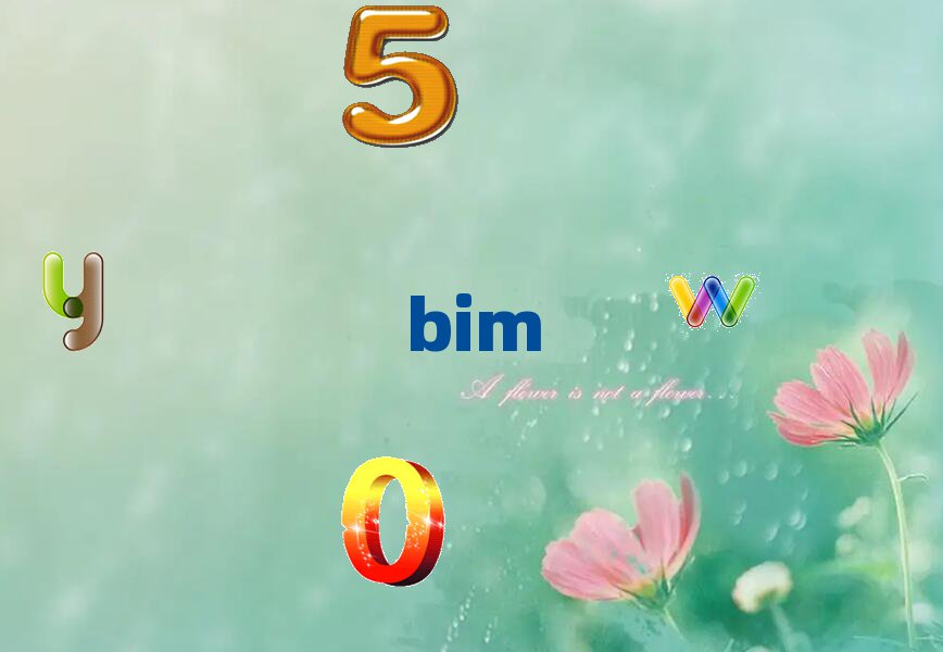 2020BƸۃBIM